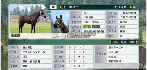 pc赛马大亨8汉化补版下载
