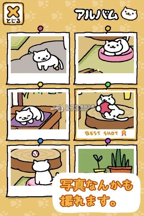 猫咪收集下载