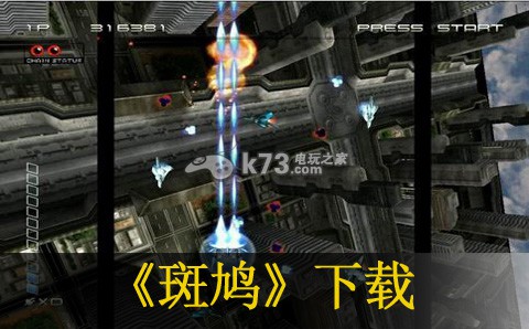 斑鸠下载