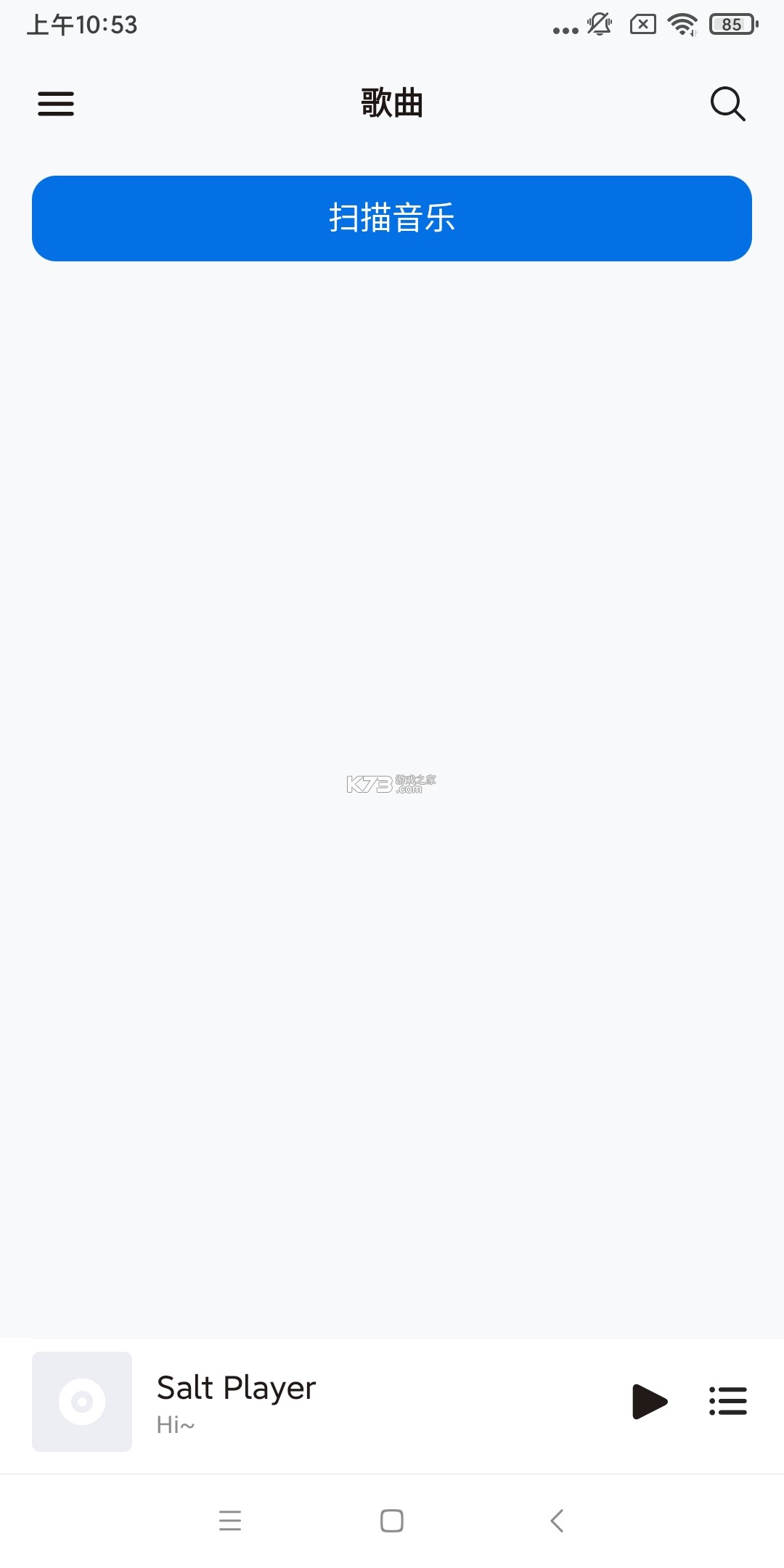 salt player v10.8.0 官方版