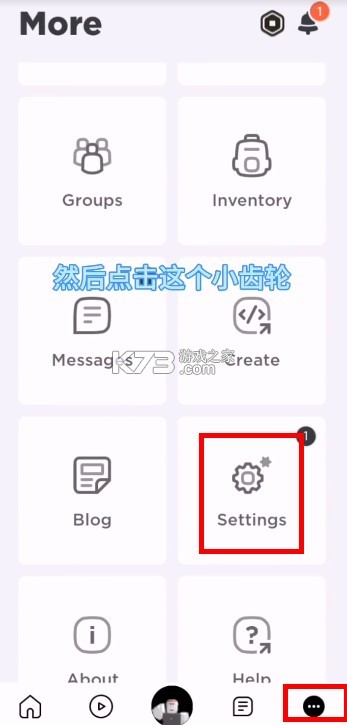 罗布乐思 v2.664.714 国际服中文版下载