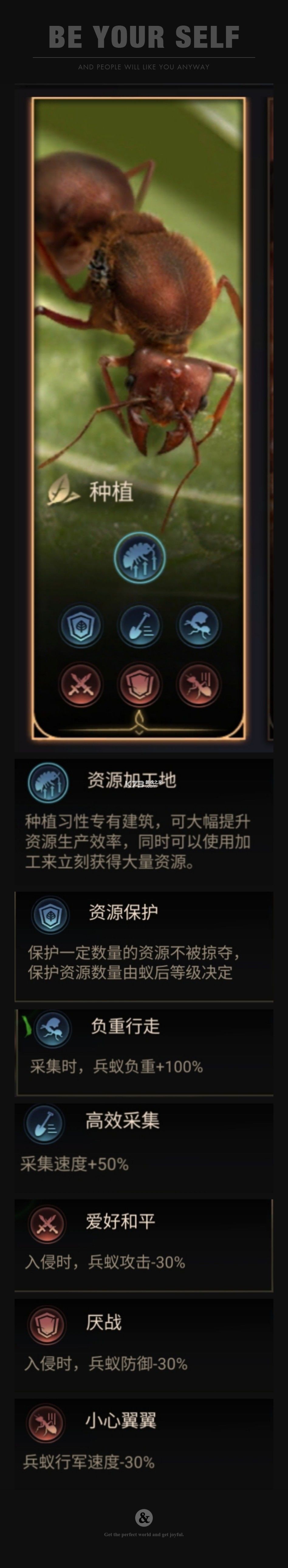小小蚁国 v1.90.0 落潮海岸版本