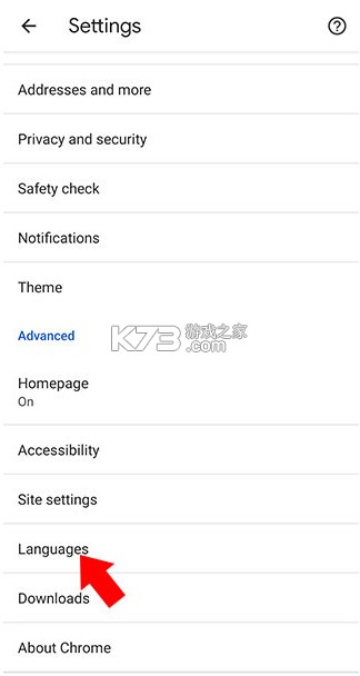 Google v16.9.53 官方下载