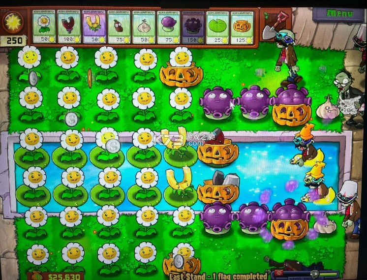 植物大战僵尸 v3.8.1 最新破解版下载2025