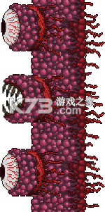 泰拉瑞亚 1.4.4.9汉化版下载正版 泰拉瑞亚 1.4.4.9汉化版下载正版