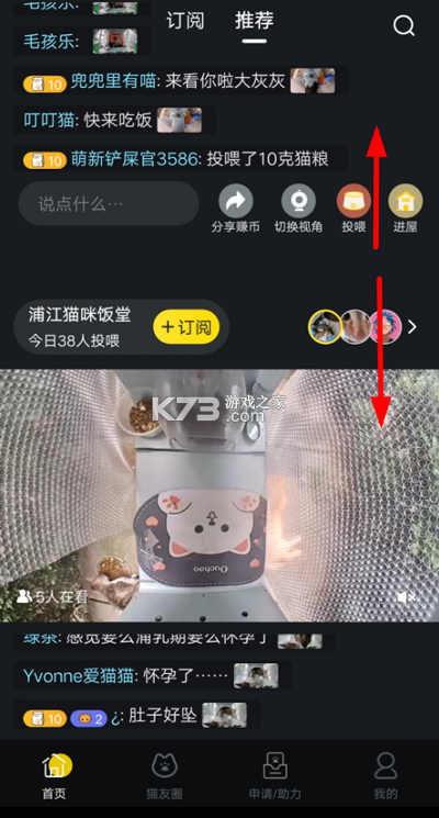 街猫 v1.40.5 app下载