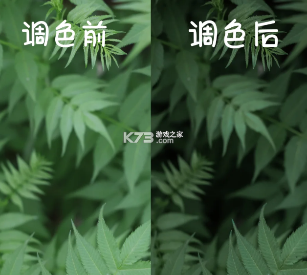 lightroom v10.2.1 官方正版app下载2025