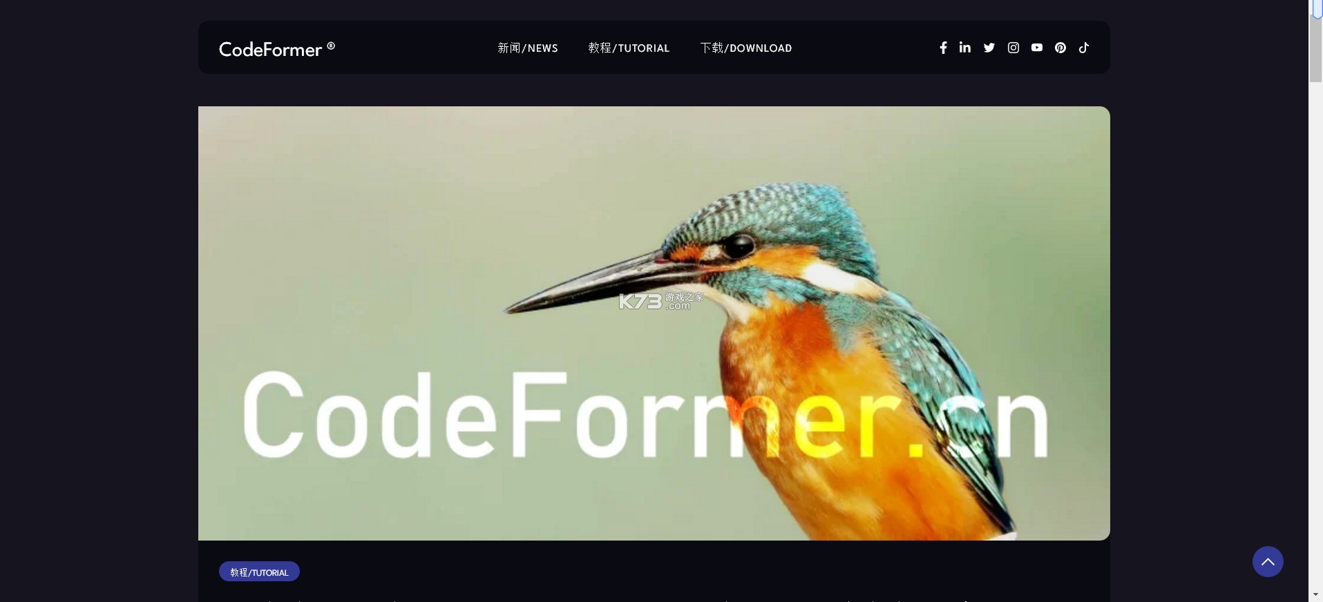 codeformer v1.10 手机版下载