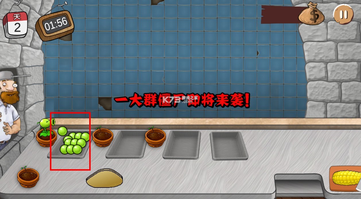 沙威玛传奇植物大战僵尸版 v1.0.1 下载